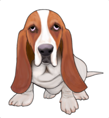 mazzy-dashhound